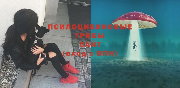 ПСИЛОЦИБИНОВЫЕ ГРИБЫ Зеленодольск