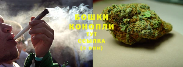 стафф Зерноград