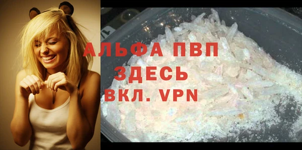 стафф Зерноград
