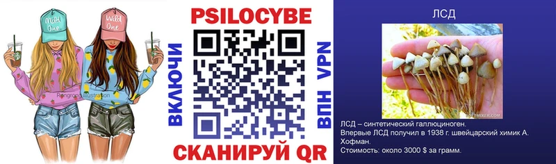 Купить  Нахабино  Галлюциногенные грибы Cubensis 